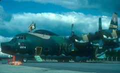 4123C.jpg