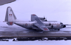 4124.jpg