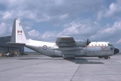 4124D.jpg