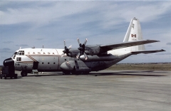 4124F.jpg
