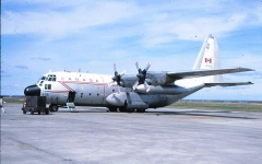4124G.jpg