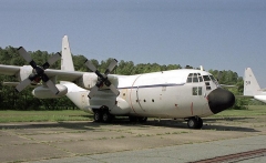 4171.jpg