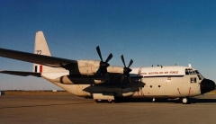 4172.jpg