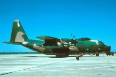4173.jpg