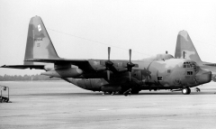 4173B.jpg