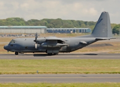 4175D.jpg