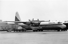 4176F.jpg