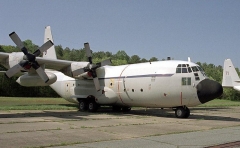 4178.jpg