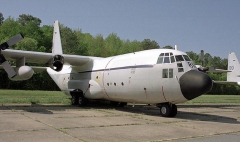 4181.jpg