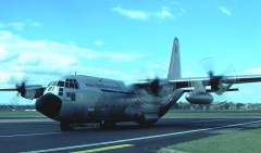 4181B.jpg