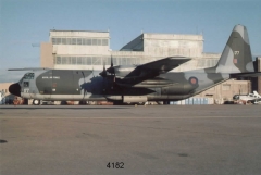 4182.jpg