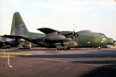 4183L.jpg