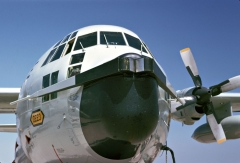 4185C.jpg
