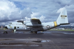 4186.jpg