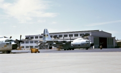 4186F.jpg