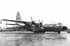 4191D.jpg