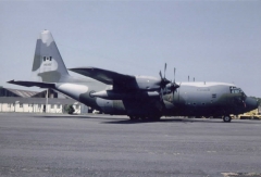 4192.jpg