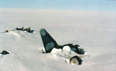 4192D.jpg
