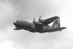 4192F.JPG