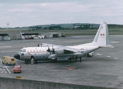 4193C.jpg