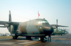 4494D.jpg