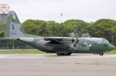 4494F.jpg
