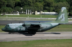 4494G.jpg