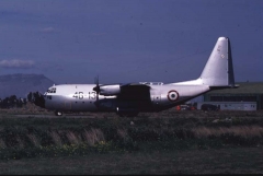 4495B.jpg