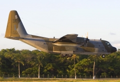 4495D.jpg