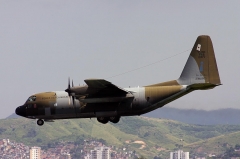 4495G.jpg