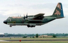 4496B.jpg