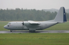 4496D.jpg