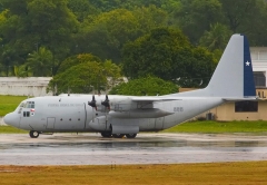 4496F.jpg