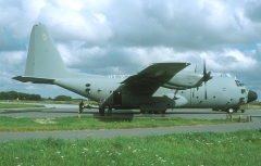 4498.jpg