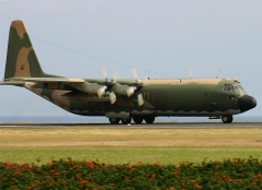 4753C.jpg