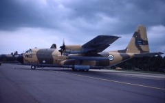 4756D.jpg