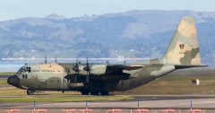4784F.jpg