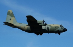 4785.jpg