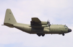4787.jpg