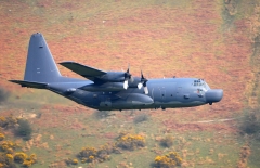 5117F.jpg