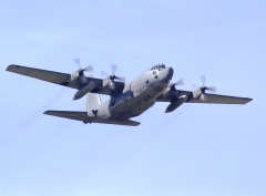 5118G.jpg