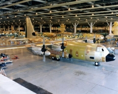 5435.jpg