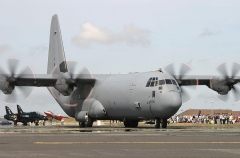 5462C.jpg