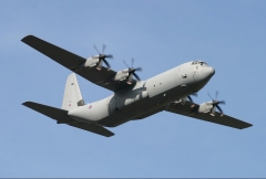 5462D.jpg