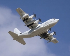 5554C.jpg