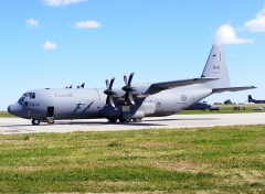 5636D.jpg