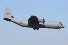 5637D.jpg