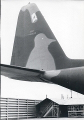 56-0522 I dotted his eye and named him Alfred.jpg