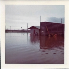 Udorn Rainy season.jpg