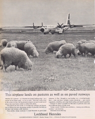 lands-on-pastures.jpg